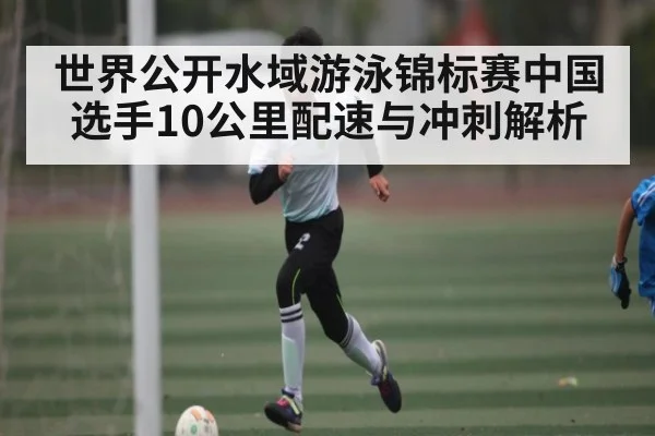 世界公开水域游泳锦标赛中国选手10公里配速与冲刺解析